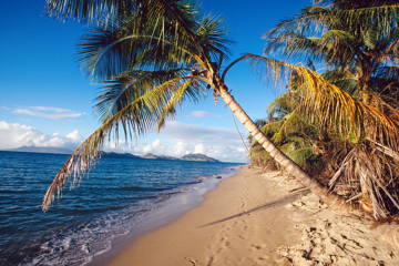 Nevis
