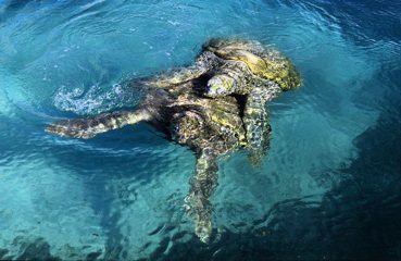 Cayman Islands